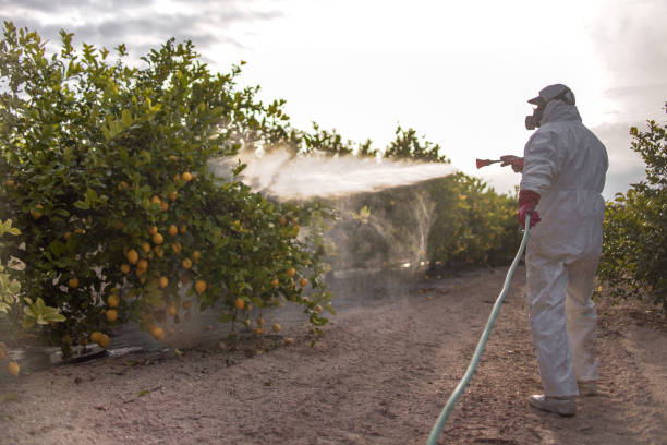 Best Fumigation Services  in Vidalia, LA